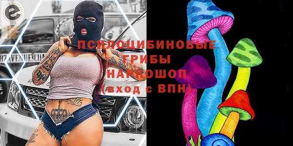 гашик Алзамай