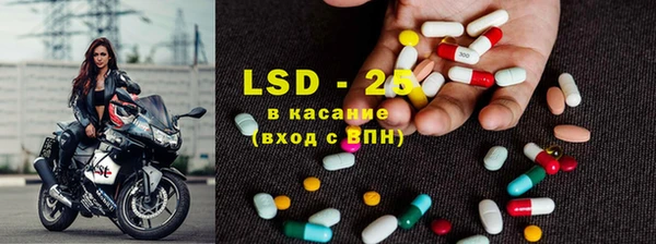 гашик Алзамай