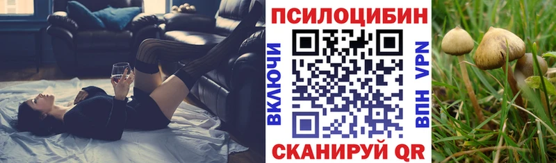 Псилоцибиновые грибы мицелий  это клад  Мирный  kraken как войти 