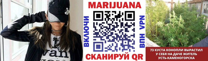 где найти   Мирный  МАРИХУАНА MAZAR 